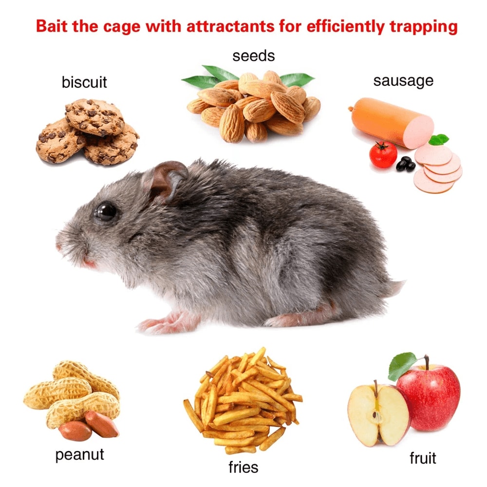 Live Rodent Trap Cage Rat Trap Cage Humane Iron Mouse Control Cage U Shaped Mouse Trap For Small Ro 10