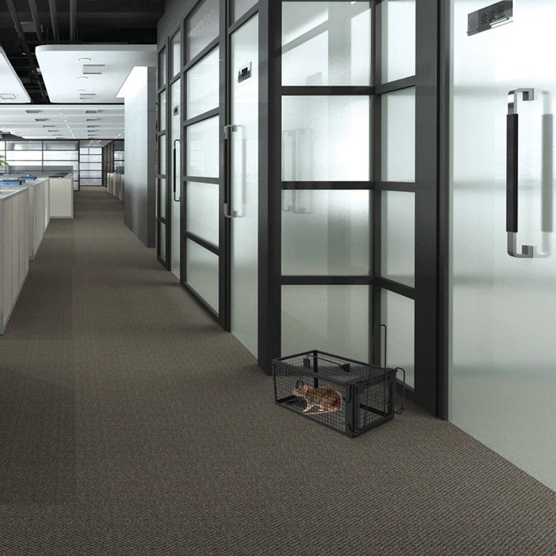 Live Rodent Trap Cage Rat Trap Cage Humane Iron Mouse Control Cage U Shaped Mouse Trap For Small Ro 3