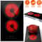 Electric Stove Hot Plates Dual Burner Ceramic Cooktop Touch Control Adjustable Power Levels Fast He 3