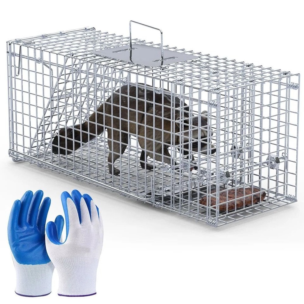 Humane Animal Trap Cage Live Trap For Mice Squirrel Rodents Safe For Pets Durable Metal Constructio 2