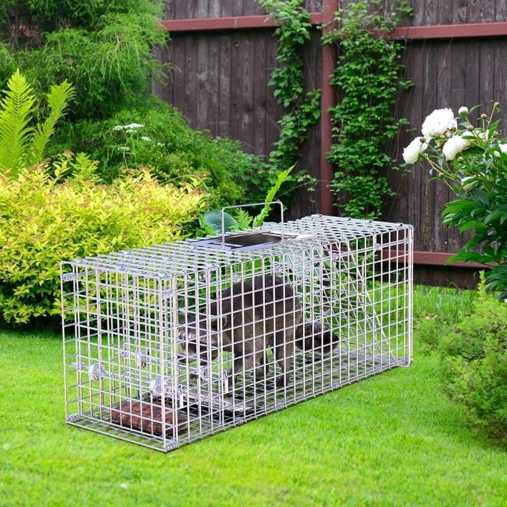 Humane Animal Trap Cage Live Trap For Mice Squirrel Rodents Safe For Pets Durable Metal Constructio 3