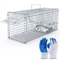 Humane Animal Trap Cage Live Trap For Mice Squirrel Rodents Safe For Pets Durable Metal Constructio 4