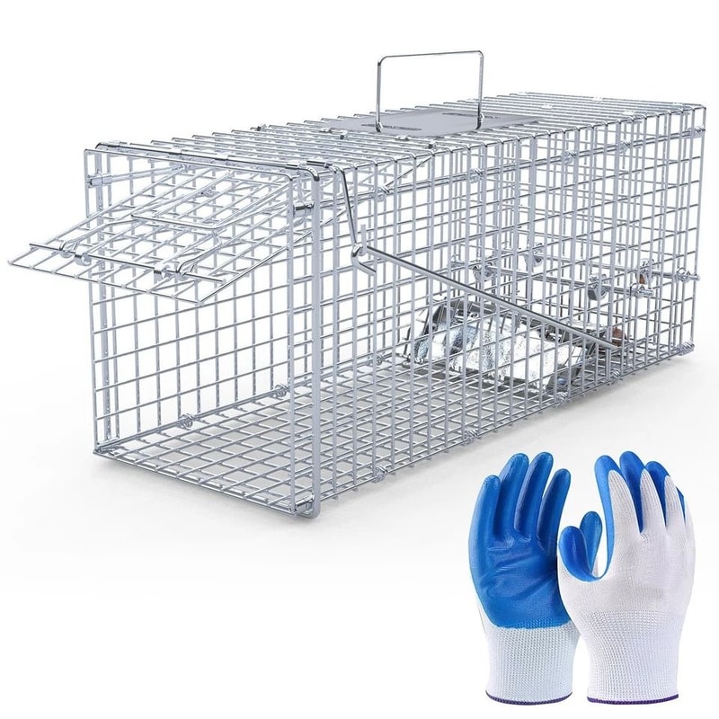 Humane Animal Trap Cage Live Trap For Mice Squirrel Rodents Safe For Pets Durable Metal Constructio 4