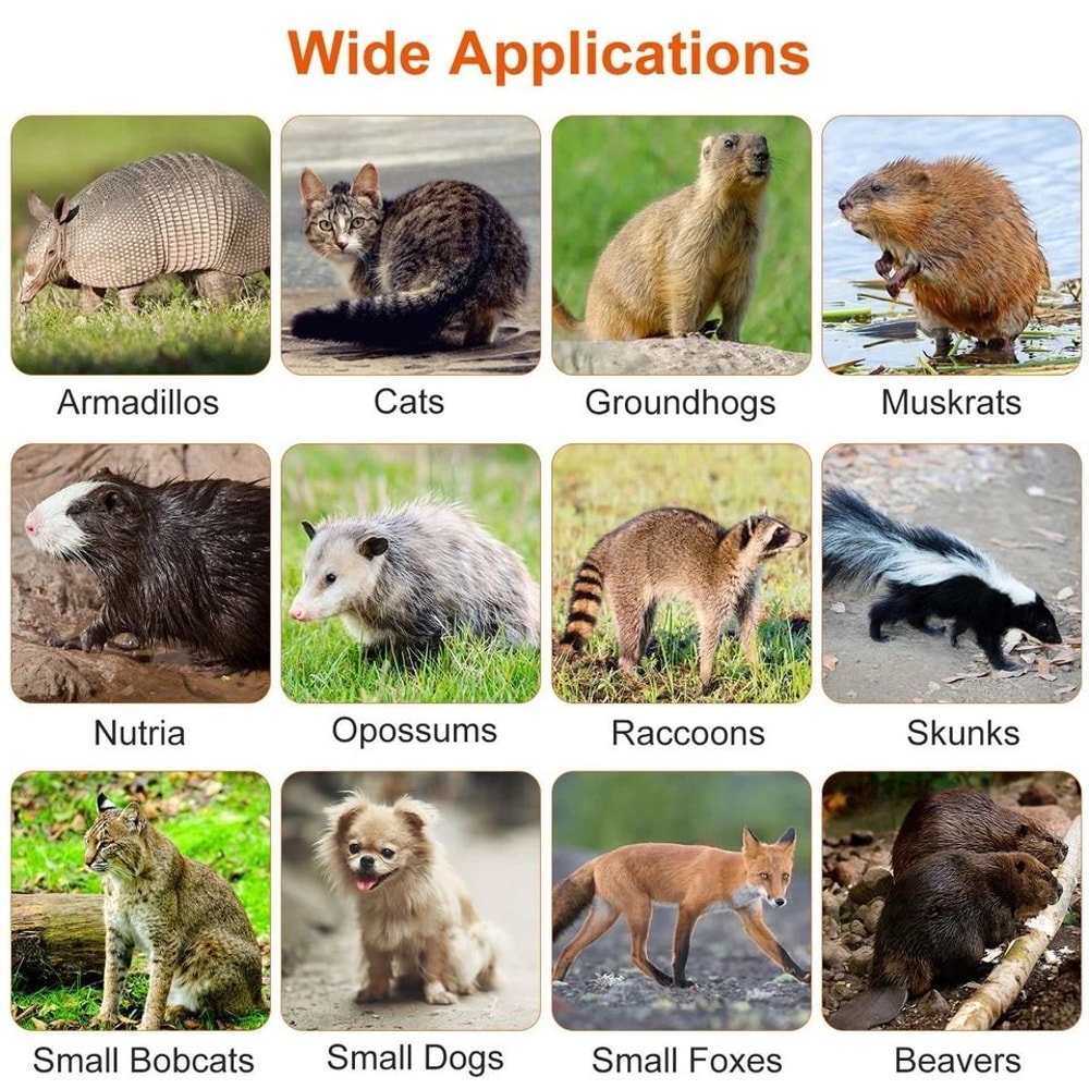 Humane Animal Trap Cage Live Trap For Mice Squirrel Rodents Safe For Pets Durable Metal Constructio 5