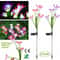 Solar Lily Flower Lights Outdoor Garden Stake LED Landscape Lamp IP65 Waterproof ColorChanging Ligh 2