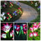 Solar Lily Flower Lights Outdoor Garden Stake LED Landscape Lamp IP65 Waterproof ColorChanging Ligh 3
