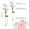 Solar Lily Flower Lights Outdoor Garden Stake LED Landscape Lamp IP65 Waterproof ColorChanging Ligh 8