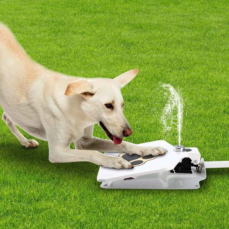 Outdoor Dog Water Fountain Step Pedal Valve Dispenser Automatic Pet Water Fountain For Fresh Water
