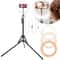 Dimmable Makeup Ring Lights LED Selfie Ring Light LEDs Tripod Stand USB Powered 1