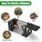 Reusable Mouse Voles Mice Cage Rat Traps Humane Live Mouse Cage Home Yard Rustproof Metal 1