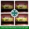 Seedling Seed Starter Tray Kit WGrow Light Cells Plant Greenhouse Dome Easy Indoor Garden Setup 6