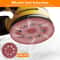 Sanding Discs Round Sandpapers Grit For Random Orbital Sanders Universal Compatibility 7