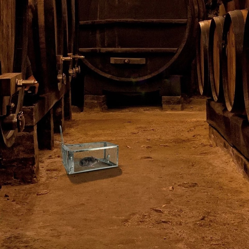 Animal Pest Control Rat Trap Cage For Rodent Catching Humane Mouse Bait Catch Hunting Trap 3