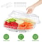 Chilled Veggie Tray With Ice Tray Fruit Ice Serving Tray Appetizer Platter Buffet Server With Lid C 1