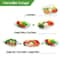Chilled Veggie Tray With Ice Tray Fruit Ice Serving Tray Appetizer Platter Buffet Server With Lid C 6