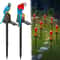 Solar Powered Parrot Lamp Waterproof LED Garden Light Landscape Decor 2 Pack Outdoor Garden Yard Pa 3