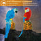 Solar Powered Parrot Lamp Waterproof LED Garden Light Landscape Decor 2 Pack Outdoor Garden Yard Pa 7