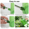 Long Spout Watering Can For Indoor Plants Green Plastic Watering Can With Stainless Steel Nozzle Fo 3