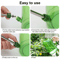 Long Spout Watering Can For Indoor Plants Green Plastic Watering Can With Stainless Steel Nozzle Fo 3