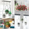 Hanging Plant Chains Iron Basket Hooks Durable For Indoor Outdoor Flower Pots Wind Chimes Bird Fee 6