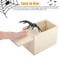 Wooden Spider Scare Box Hidden In Case Trick Prank Gag Toy Funny Play Joke Gift For Party 3