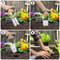 Garden Manual Planter Tool Bulb Planter Mini With Seed Sower Dispenser Efficient Spreader For Tulip 3