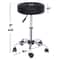 Adjustable Hydraulic Rolling Stool Swivel Tattoo Chair Office Chair Black Swivel Salon Stool Height 6