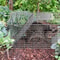 Humane Rodent Raccoon Cage Live Animal Cage Trap With Iron Door Safe For Squirrels Rabbits Skunks 1