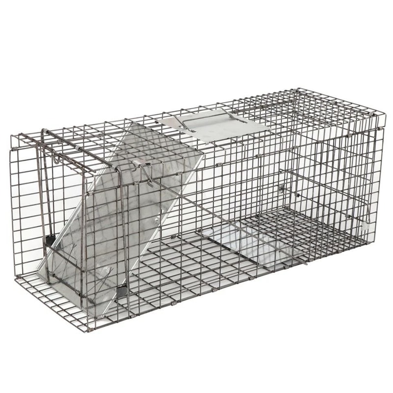 Humane Rodent Raccoon Cage Live Animal Cage Trap With Iron Door Safe For Squirrels Rabbits Skunks 2