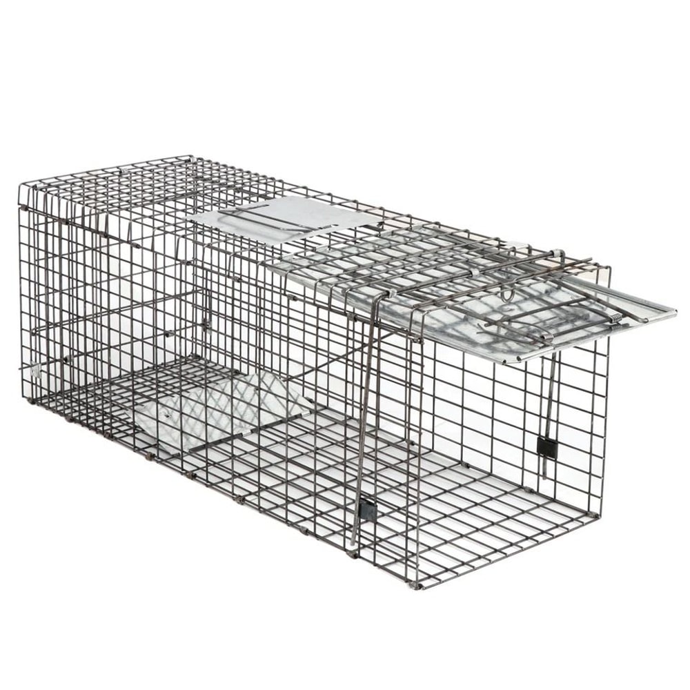 Humane Rodent Raccoon Cage Live Animal Cage Trap With Iron Door Safe For Squirrels Rabbits Skunks 3