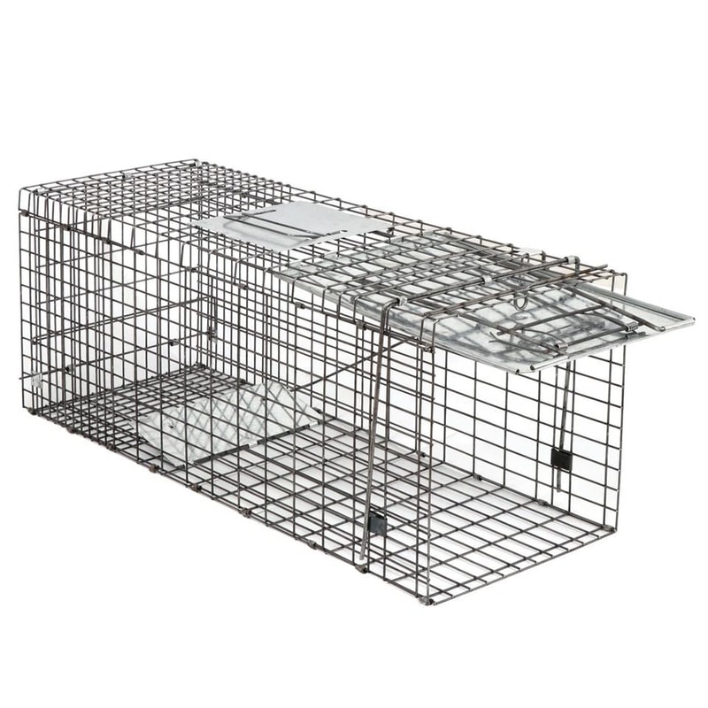 Humane Rodent Raccoon Cage Live Animal Cage Trap With Iron Door Safe For Squirrels Rabbits Skunks 3