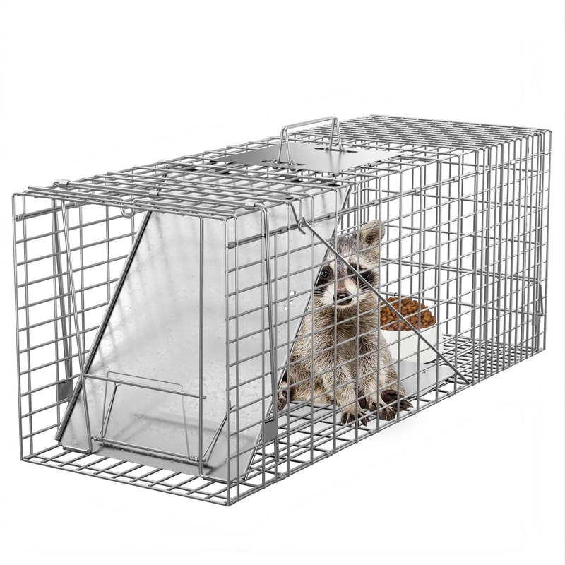 Humane Rodent Raccoon Cage Live Animal Cage Trap With Iron Door Safe For Squirrels Rabbits Skunks 0
