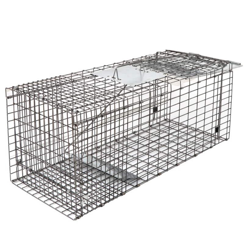 Humane Rodent Raccoon Cage Live Animal Cage Trap With Iron Door Safe For Squirrels Rabbits Skunks 10