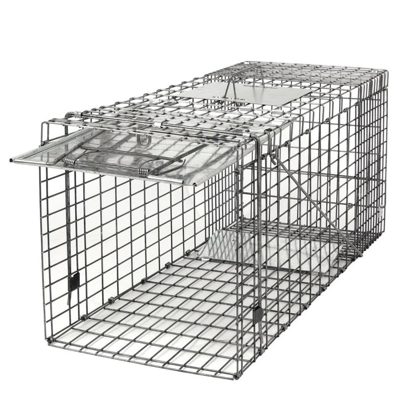 Humane Rodent Trap Live Animal Cage Trap Raccoon Cage With Iron Door Safe And Reusable For Small An 2