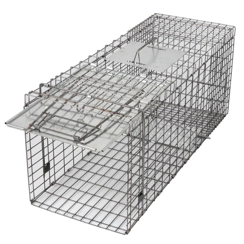 Humane Rodent Trap Live Animal Cage Trap Raccoon Cage With Iron Door Safe And Reusable For Small An 3