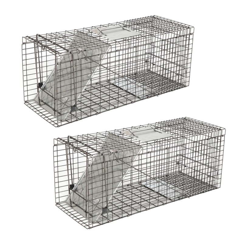Humane Rodent Trap Live Animal Cage Trap Raccoon Cage With Iron Door Safe And Reusable For Small An 6