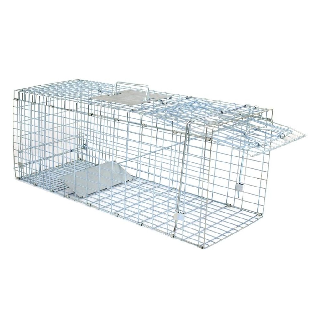 Humane Cat Trap Heavy Duty Live Animal Cage Trap Folding Raccoon Traps Safe For Squirrels Rabbits P 1