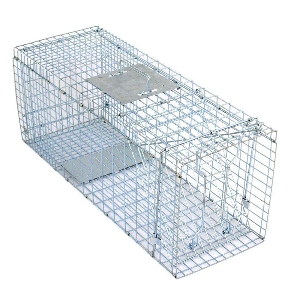 Humane Cat Trap Heavy Duty Live Animal Cage Trap Folding Raccoon Traps Safe For Squirrels Rabbits P 3