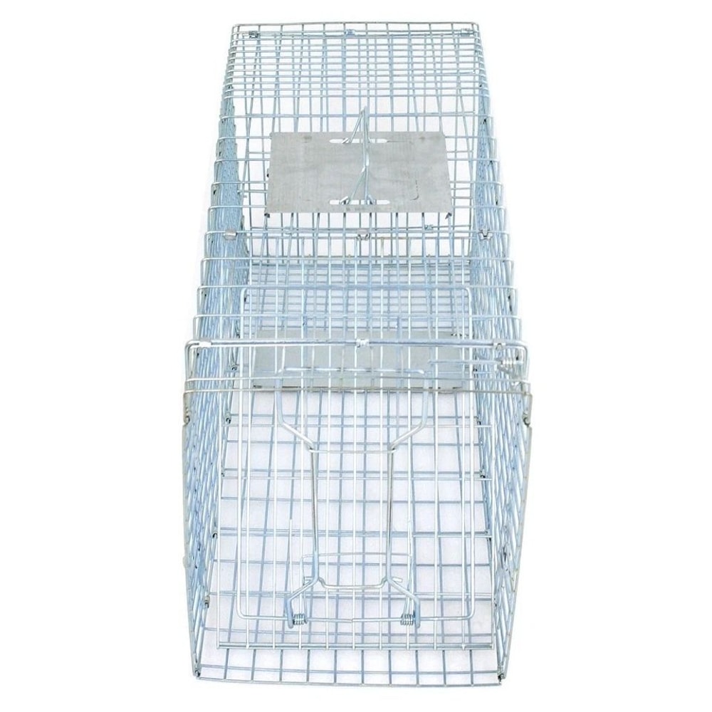 Humane Cat Trap Heavy Duty Live Animal Cage Trap Folding Raccoon Traps Safe For Squirrels Rabbits P 4