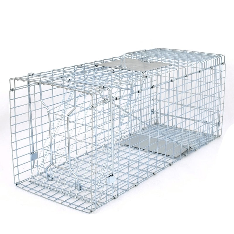 Humane Cat Trap Heavy Duty Live Animal Cage Trap Folding Raccoon Traps Safe For Squirrels Rabbits P 6
