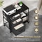 Mobile File Cabinet With Drawers And Open Storage Shelf Rolling Printer Stand In Black 4