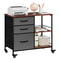 Rolling Drawer Mobile File Cabinet Open Storage Shelf Printer Stand Dark Grey 0