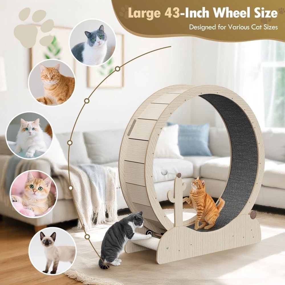 Wooden Cat Treadmill Exercise Wheel Large Cat Wheel For Indoor Use Stable Quiet And Safe For Cats 2