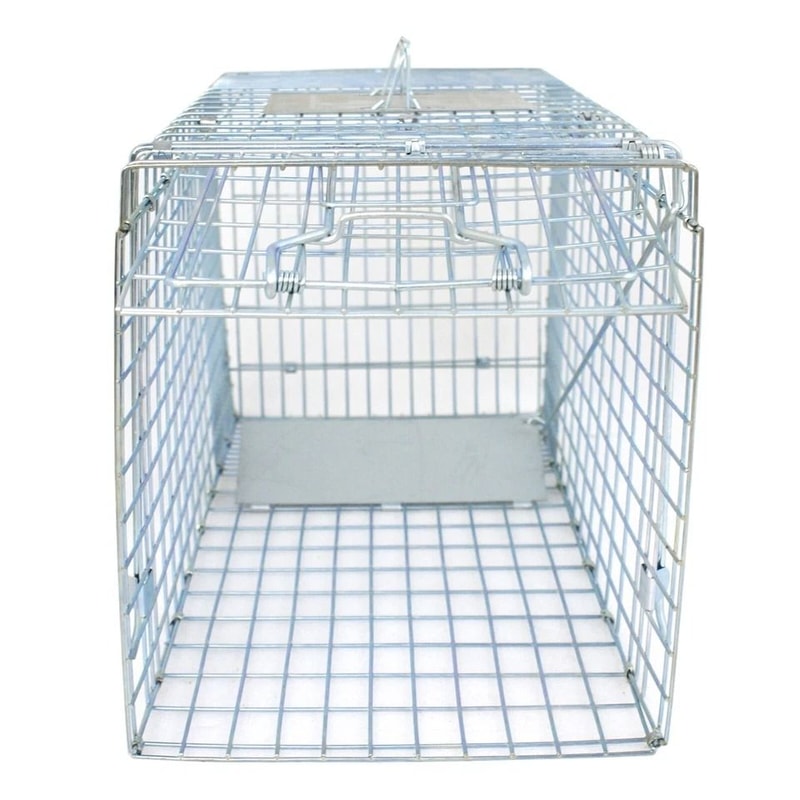 Heavy Duty Live Animal Trap Extra Large Cage For Raccoons Rabbits Cats Squirrels Skunks And More 1