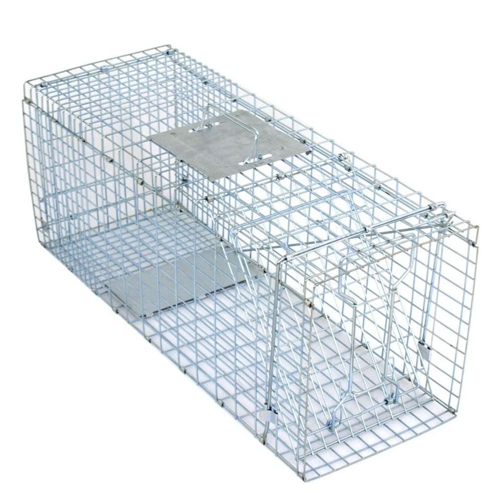 Heavy Duty Live Animal Trap Extra Large Cage For Raccoons Rabbits Cats Squirrels Skunks And More 10