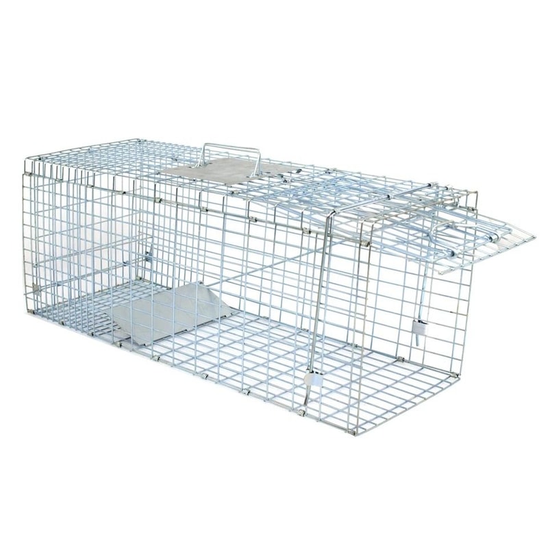 Heavy Duty Live Animal Trap Extra Large Cage For Raccoons Rabbits Cats Squirrels Skunks And More 11