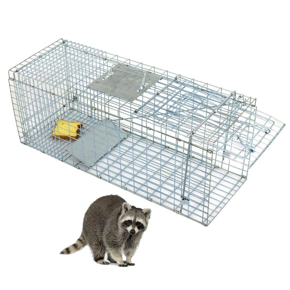 Heavy Duty Live Animal Trap Extra Large Cage For Raccoons Rabbits Cats Squirrels Skunks And More 3