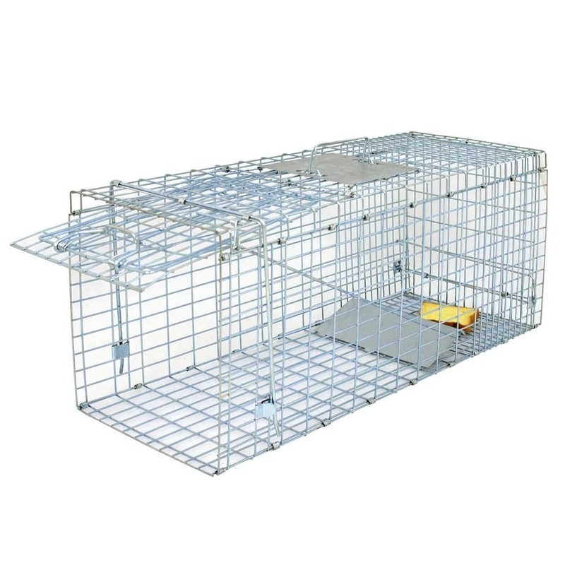 Heavy Duty Live Animal Trap Extra Large Cage For Raccoons Rabbits Cats Squirrels Skunks And More 8