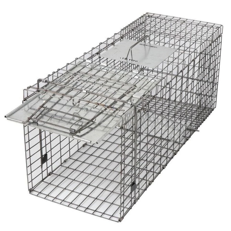 Humane Large Animal Trap Spring Loaded Easy To Bait Release Strong Frame Safe And Durable For Home 0