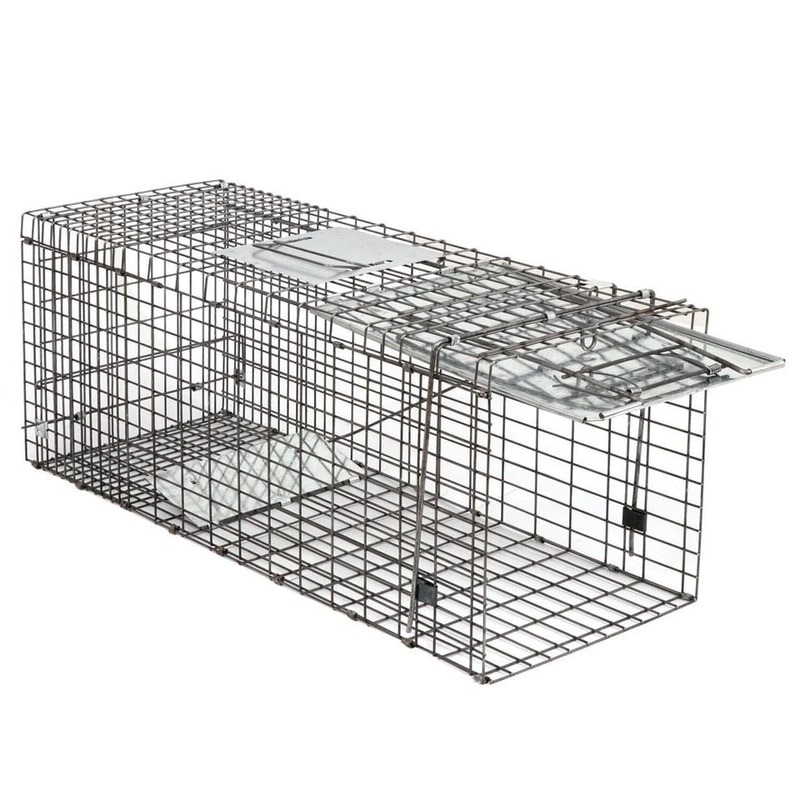 Humane Large Animal Trap Spring Loaded Easy To Bait Release Strong Frame Safe And Durable For Home 2